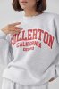Женский спортивный костюм на флисе Fullerton California - 23166 серый
