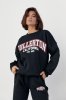 Женский спортивный костюм на флисе Fullerton California - 23166 черный